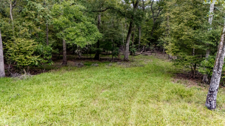 13.22 Acre Riverfront Property on the Santa Fe River - image 5