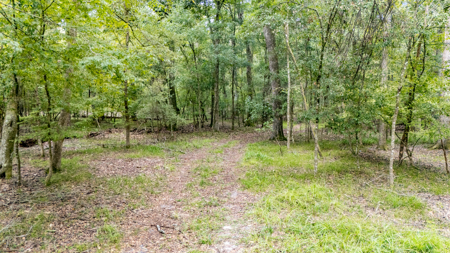 13.22 Acre Riverfront Property on the Santa Fe River - image 4