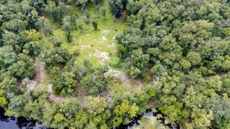 13.22 Acre Riverfront Property on the Santa Fe River - image 7