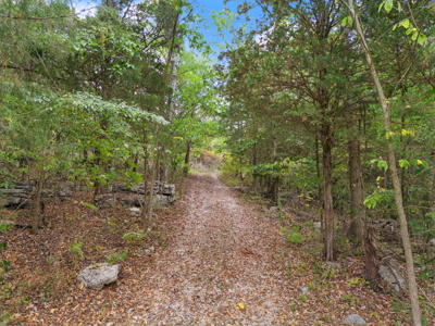 Multi-Property Auction with Home & 28.1 Acres in Warren Co. - image 9