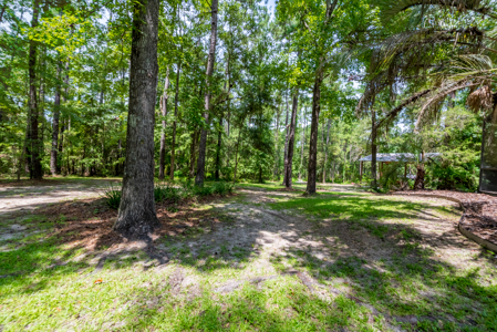 4 Bed 2.5 Bath POOL HOME on 5.31 Acres on Millhopper Rd - image 9