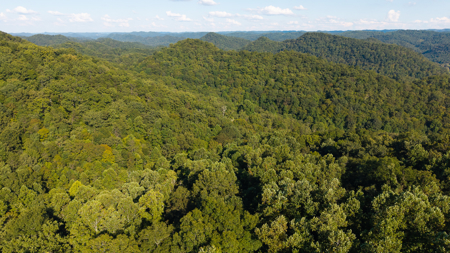 Appalachian Wilderness for Sale  Hancock County TN- Hunting Land - image 7