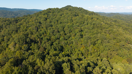 Appalachian Wilderness for Sale  Hancock County TN- Hunting Land - image 6