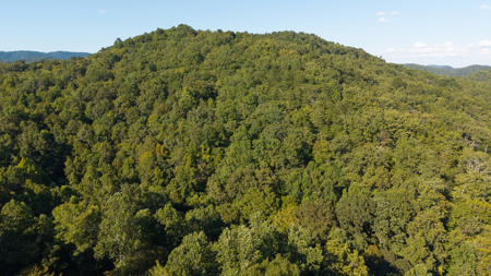 Appalachian Wilderness for Sale  Hancock County TN- Hunting Land - image 5