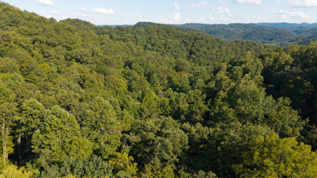 Appalachian Wilderness for Sale  Hancock County TN- Hunting Land - image 1