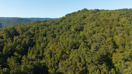 Appalachian Wilderness for Sale  Hancock County TN- Hunting Land - image 4