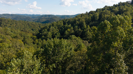 Appalachian Wilderness for Sale  Hancock County TN- Hunting Land - image 11