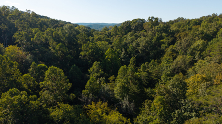 Appalachian Wilderness for Sale  Hancock County TN- Hunting Land - image 2