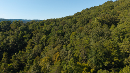 Appalachian Wilderness for Sale  Hancock County TN- Hunting Land - image 3