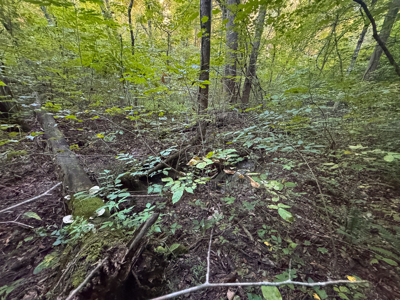 Appalachian Wilderness for Sale  Hancock County TN- Hunting Land - image 27