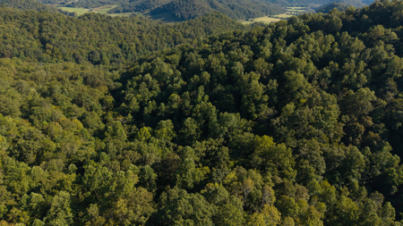 Appalachian Wilderness for Sale  Hancock County TN- Hunting Land - image 9