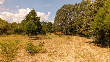 Hunting Land in the Missouri Ozarks - image 35