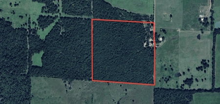 Hunting Land in the Missouri Ozarks - image 1