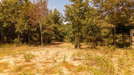Hunting Land in the Missouri Ozarks - image 34