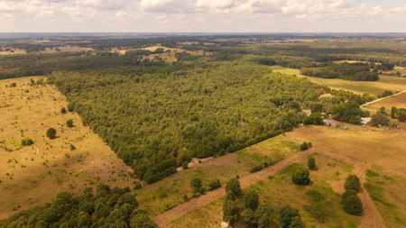Hunting Land in the Missouri Ozarks - image 3