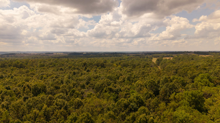 Hunting Land in the Missouri Ozarks - image 39