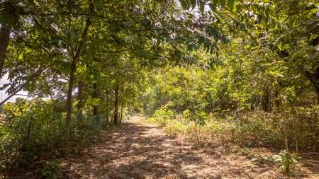 Hunting Land in the Missouri Ozarks - image 5