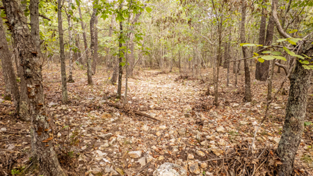 Hunting Land in the Missouri Ozarks - image 9