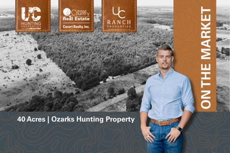 Hunting Land in the Missouri Ozarks - image 2