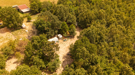 Hunting Land in the Missouri Ozarks - image 30