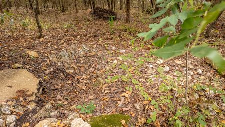 Hunting Land in the Missouri Ozarks - image 21