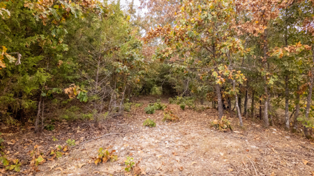 Hunting Land in the Missouri Ozarks - image 20