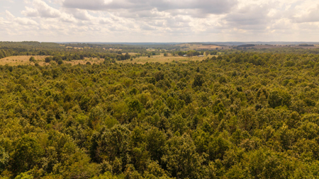 Hunting Land in the Missouri Ozarks - image 38