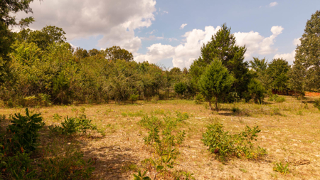 Hunting Land in the Missouri Ozarks - image 36