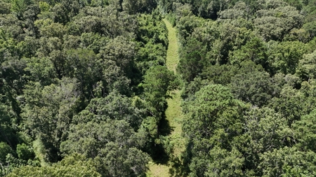 Hunting Property and Homesite in Jackson Parish LA - image 9