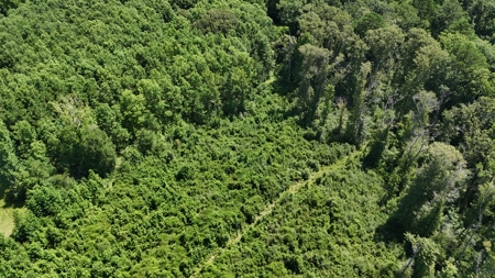 Hunting Property and Homesite in Jackson Parish LA - image 21