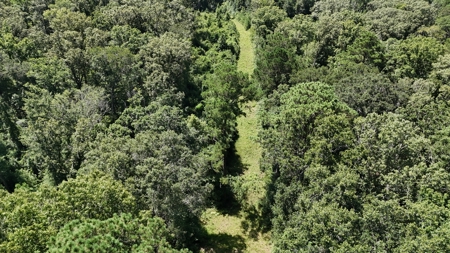 Hunting Property and Homesite in Jackson Parish LA - image 8