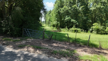 Hunting Property and Homesite in Jackson Parish LA - image 24