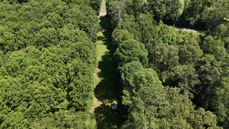 Hunting Property and Homesite in Jackson Parish LA - image 11