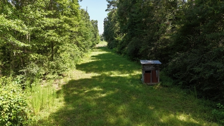 Hunting Property and Homesite in Jackson Parish LA - image 7