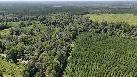 Hunting Property and Homesite in Jackson Parish LA - image 15