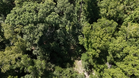 Hunting Property and Homesite in Jackson Parish LA - image 20