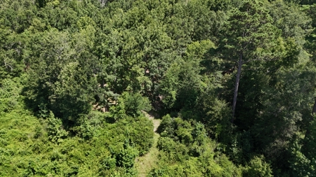 Hunting Property and Homesite in Jackson Parish LA - image 14
