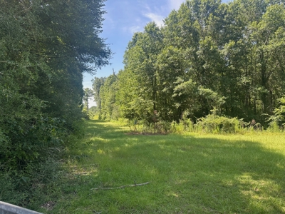 Hunting Property and Homesite in Jackson Parish LA - image 2