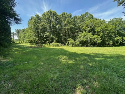 Hunting Property and Homesite in Jackson Parish LA - image 3