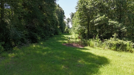 Hunting Property and Homesite in Jackson Parish LA - image 4