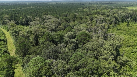 Hunting Property and Homesite in Jackson Parish LA - image 10
