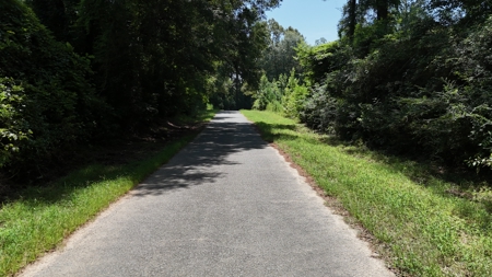 Hunting Property and Homesite in Jackson Parish LA - image 25