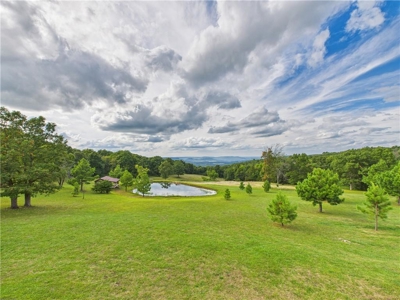 Luxury Log Cabin on 9.95 Acres with Ozark Mountain Views For Sale - image 39