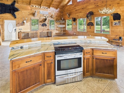 Luxury Log Cabin on 9.95 Acres with Ozark Mountain Views For Sale - image 14