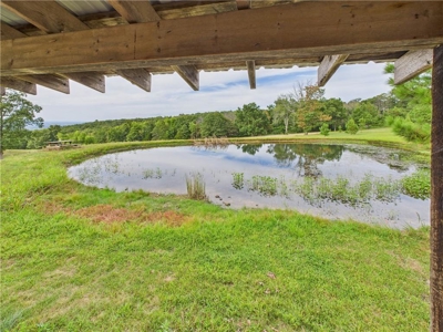 Luxury Log Cabin on 9.95 Acres with Ozark Mountain Views For Sale - image 34
