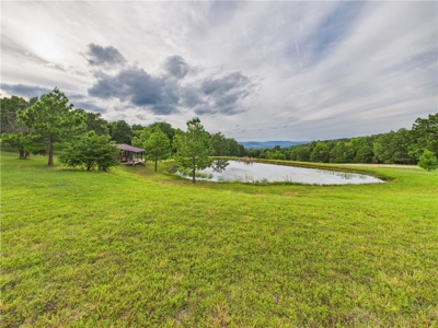 Luxury Log Cabin on 9.95 Acres with Ozark Mountain Views For Sale - image 31