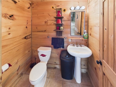 Luxury Log Cabin on 9.95 Acres with Ozark Mountain Views For Sale - image 29