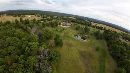 Luxury Log Cabin on 9.95 Acres with Ozark Mountain Views For Sale - image 43