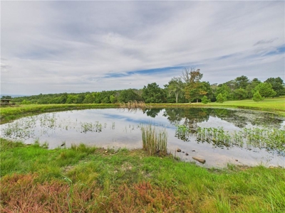 Luxury Log Cabin on 9.95 Acres with Ozark Mountain Views For Sale - image 35