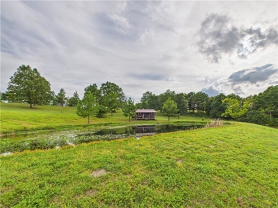 Luxury Log Cabin on 9.95 Acres with Ozark Mountain Views For Sale - image 32